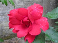 55b2447e-Picture 706.jpg
